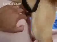 [ Animal XXX ] Slutty goddess bonks with her pet dog